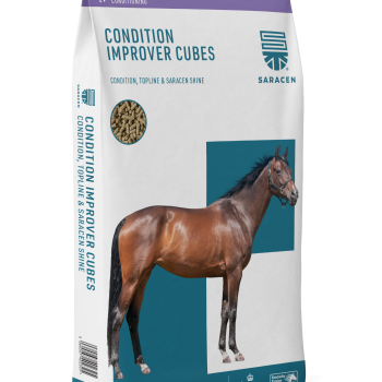 Saracen Condition-Improver Cubes 20kg
