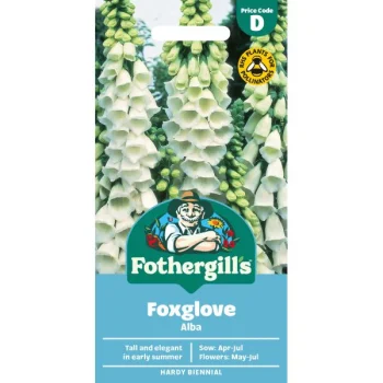 D Foxglove Alba
