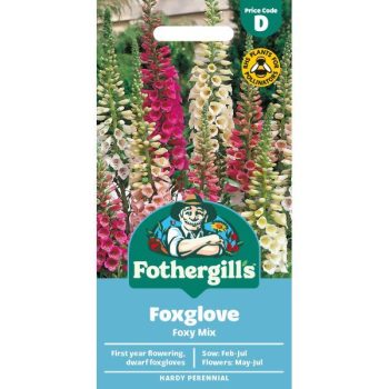 D Foxglove Foxy Mixed