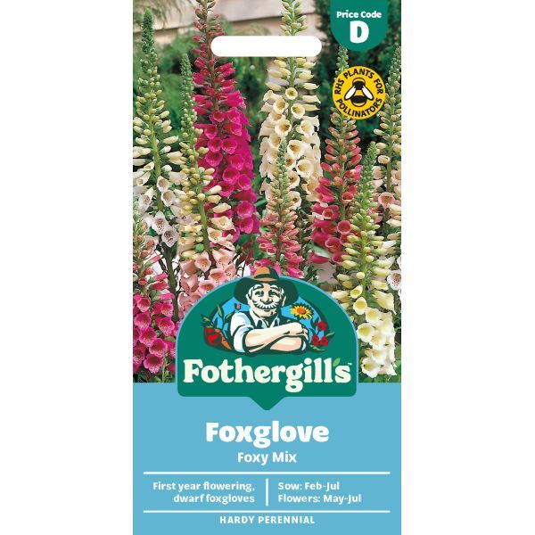 D Foxglove Foxy Mixed