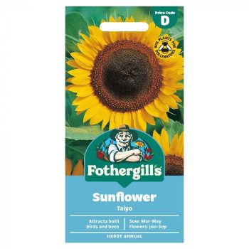 D Sunflower Taiyo