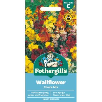 C Wallflower Choice Mixed