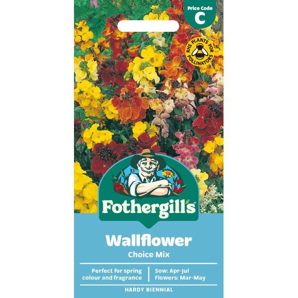 C Wallflower Choice Mixed