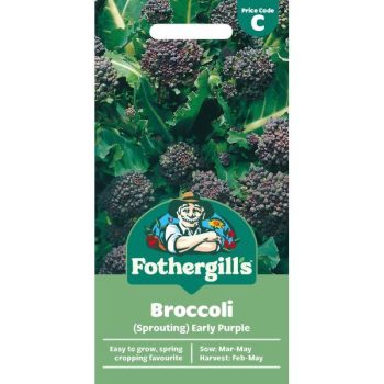C Broccoli Sprouting Early Purple
