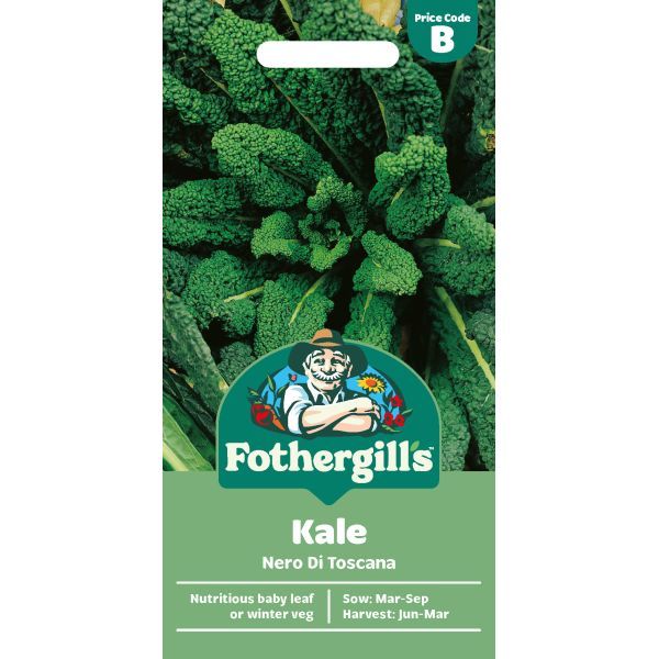 B Kale Nero Di Toscana