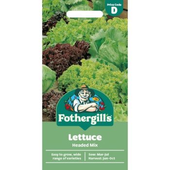 D Lettuce Headed Mix