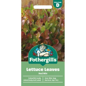 D Mixed Lettuce Red Leaves