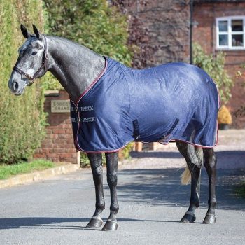 Tempest Original Mesh Cooler Rug 6'6