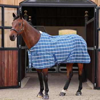 Tempest Original Stable Sheet 6'9 Teal Check