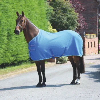 Tempest Original Waffle Rug 4'6 Royal