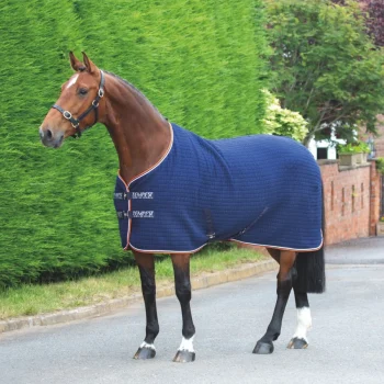 Tempest Original Tech Cooler Rug 6'6 Navy