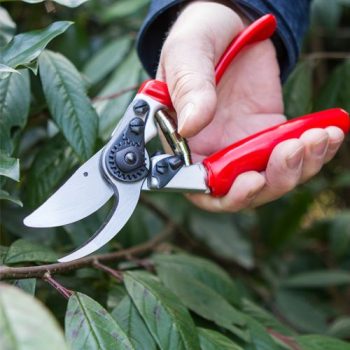 DP1031 Expert Rotating Handle Pruner