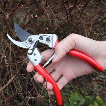 DP1032 Expert Bypass Medium Pruner