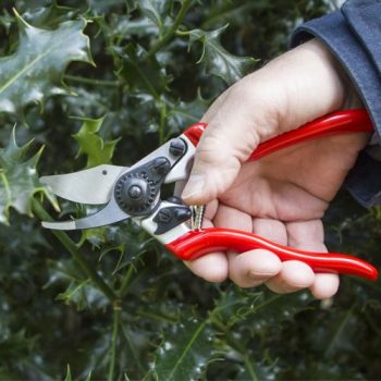 DP1034 Expert Fine Bypass Pruner