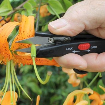DP125 Deadheading Snips