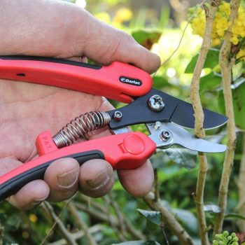 DP332 Compound Action Pruner