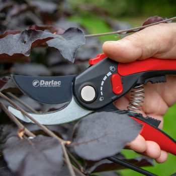 DP334 Adjustable Bypass Pruner