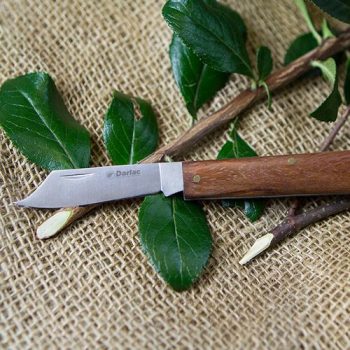 DP342 Grafting Budding Knife