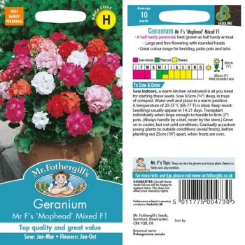 G Geranium Mr F'S Mophead F1