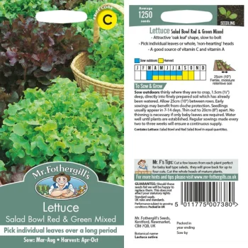 C Lettuce Salad Bowl Red & Green Leaves