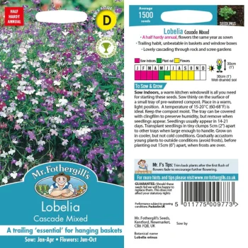 D Lobelia Cascade Mixed