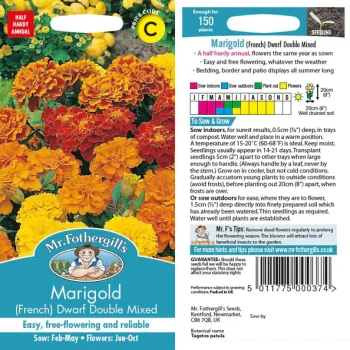 C Marigold French Dwarf