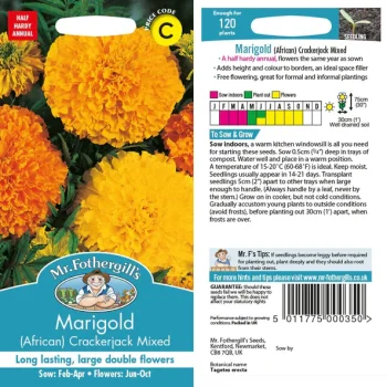 C Marigold African Crackerjack Mixed