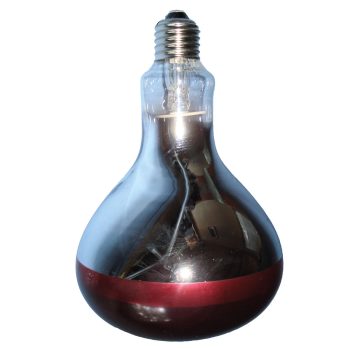 Intelec Hard Glass Infra-Red Ruby Bulb 150w