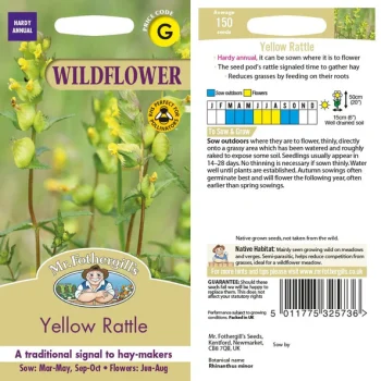 F Wildflower Yellow Rattle