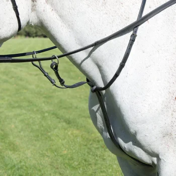 Shires Avignon Running Martingale Full Havana