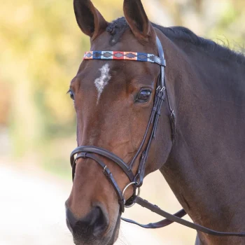 Velociti GARA Leather Polo Browband - COB size Turquoise Red Orange Blue