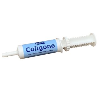 Coligone Paste Syringe 50g