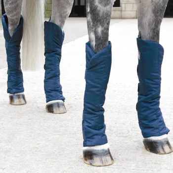 Shires Arma Comfort Travel Boots Navy Full