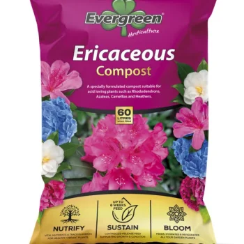Evergreen Ericaceous Compost 60L