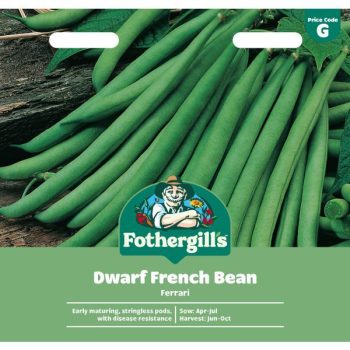 G Dwarf French Bean Ferrari