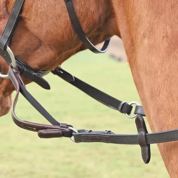 Shires Flexi Rein Cob / Full