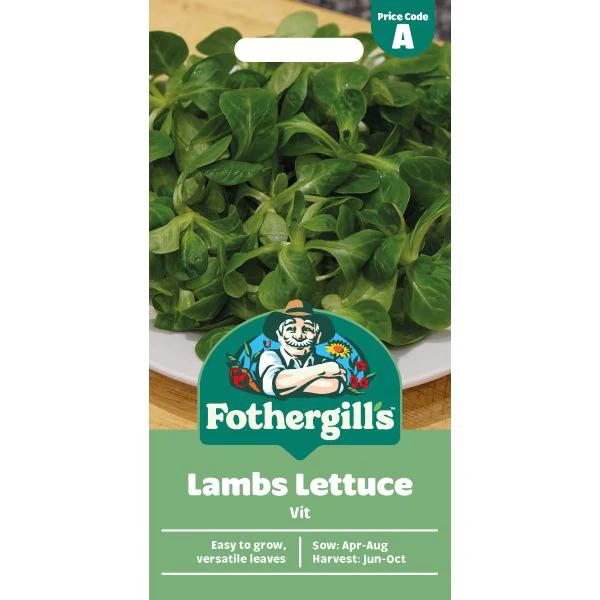 A Lambs Lettuce Vit