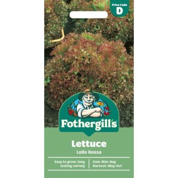 D Lettuce Lollo Rossa