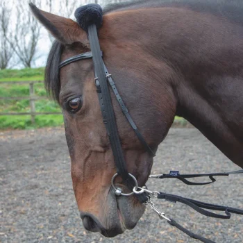 Shires Lunging Adapter