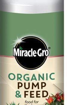Miracle Gro Organic Pump & Feed 200ml