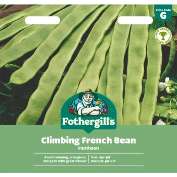 G Climbing French Bean Pantheon