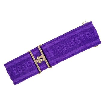Hy Elastic Surcingle Purple