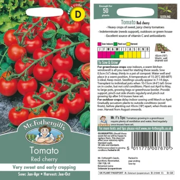 D Tomato Red Cherry