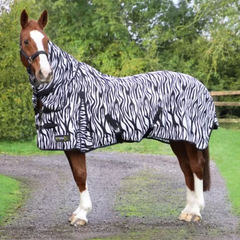 StormX 4'3" Fly Rug