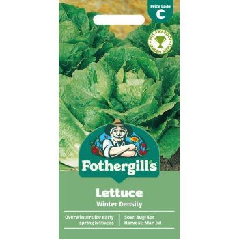 C Lettuce Winter Density