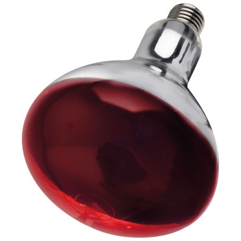 Intelec Hard Glass Infra-Red Heat Bulb – 250w