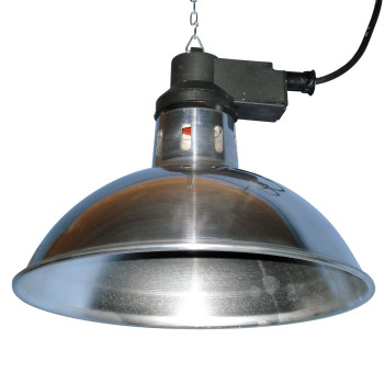 Intelec Heat Lamp Unit