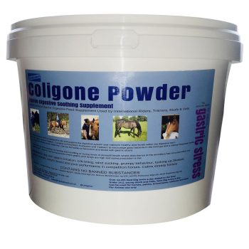 Coligone Powder 3kg