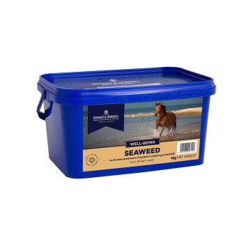 Dodson & Horrell Seaweed 2kg tub