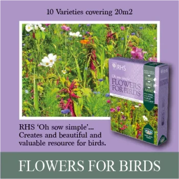 RHS Flowers For Birds